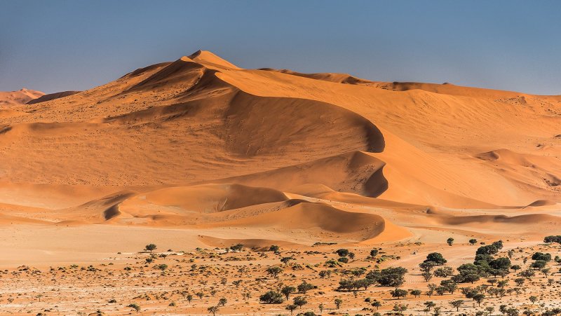 Барханы пустыни Намиб Южная Африка