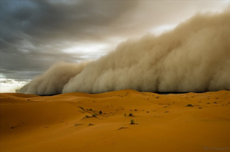 Самум Песчаная буря
