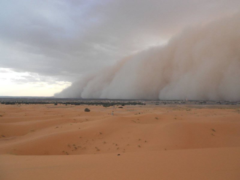 Ветер Самуи в пустыне сахара