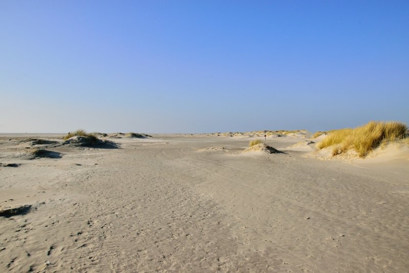 Олешковские Пески в Херсонской области