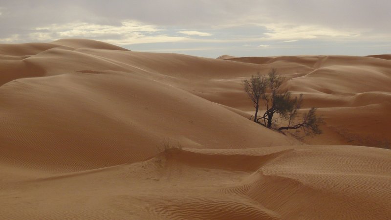 Барханные Пески Туркменистан