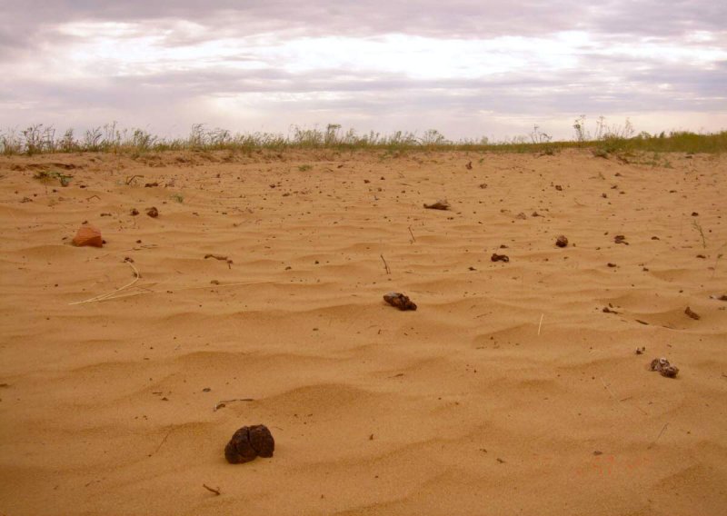 Пустыня рын Пески на карте
