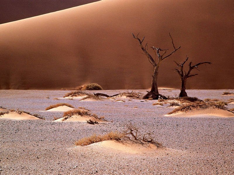 Дыхание пустыни инсталляция Египет