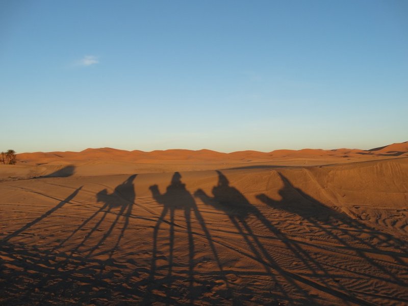 Тень в пустыне
