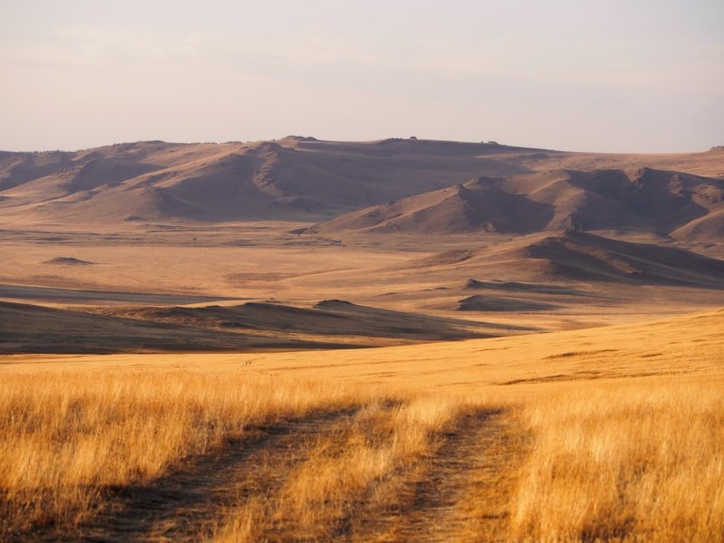 Монголо-маньчжурская степь