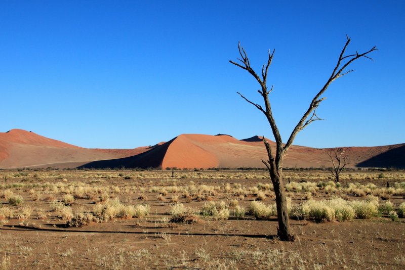Намибия степь