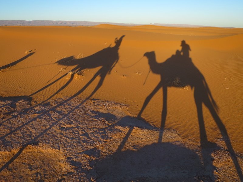Тень верблюда в пустыне