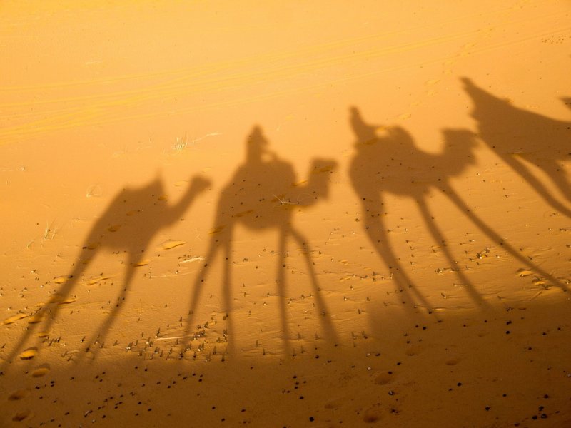 Тень верблюда в пустыне