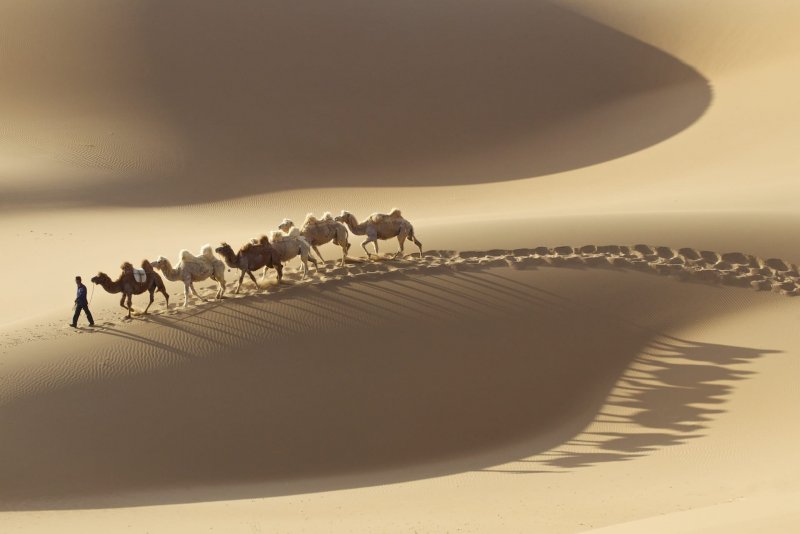 Пустыня сахара панорама