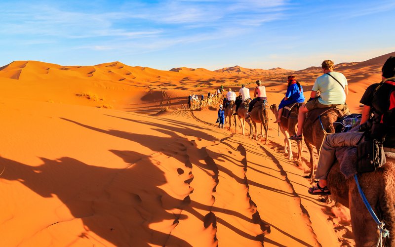 Караван верблюдов с погонщиком в пустыне на закате