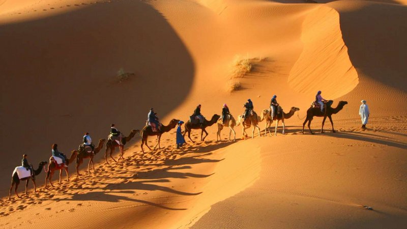 Фото пустыни с верблюдами в закате