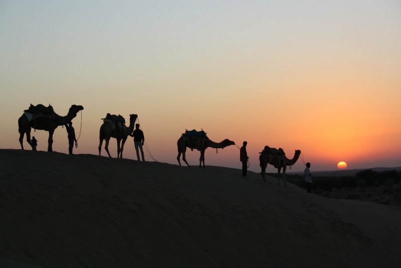Фото верблюдов в пустыне с тенями