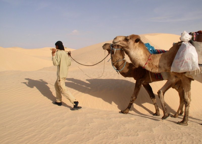 Караван бедуинов в пустыне