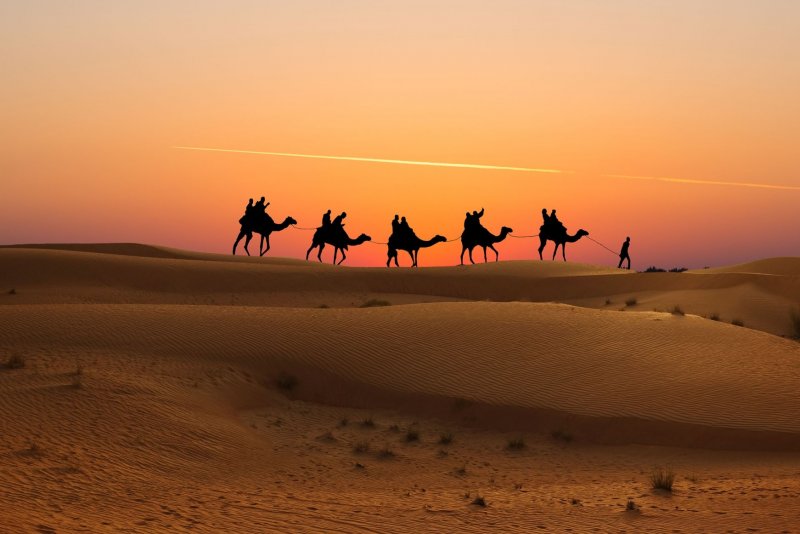 Тени верблюда на песке пустыни Сахары в Марокко стоковое фот