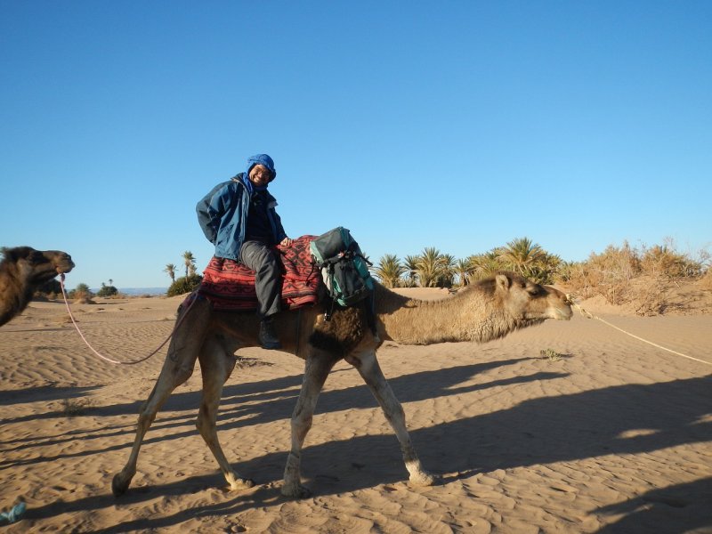 Караванщики в пустыне