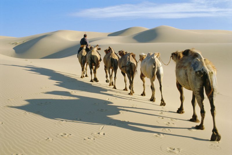 Марокко пустыни в Фес