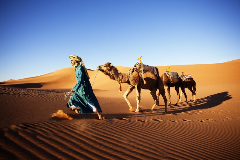 Туареги пустыни Верблюды