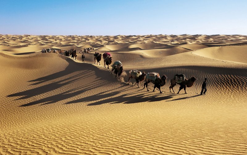 Караванщики в пустыне и оазисы