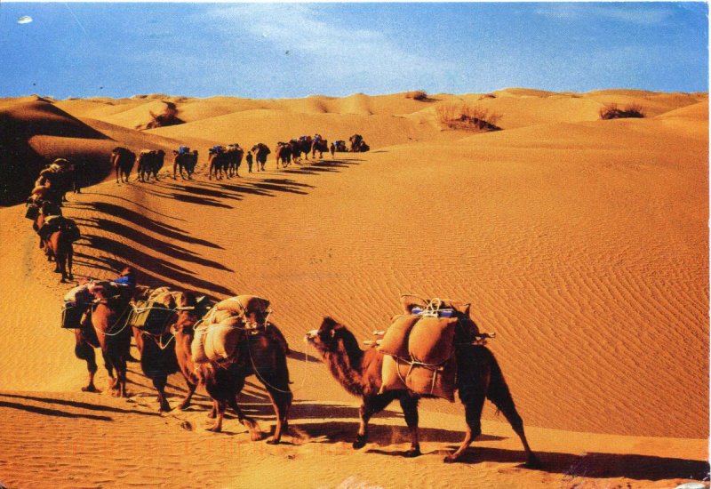Караван в пустыне Каракум
