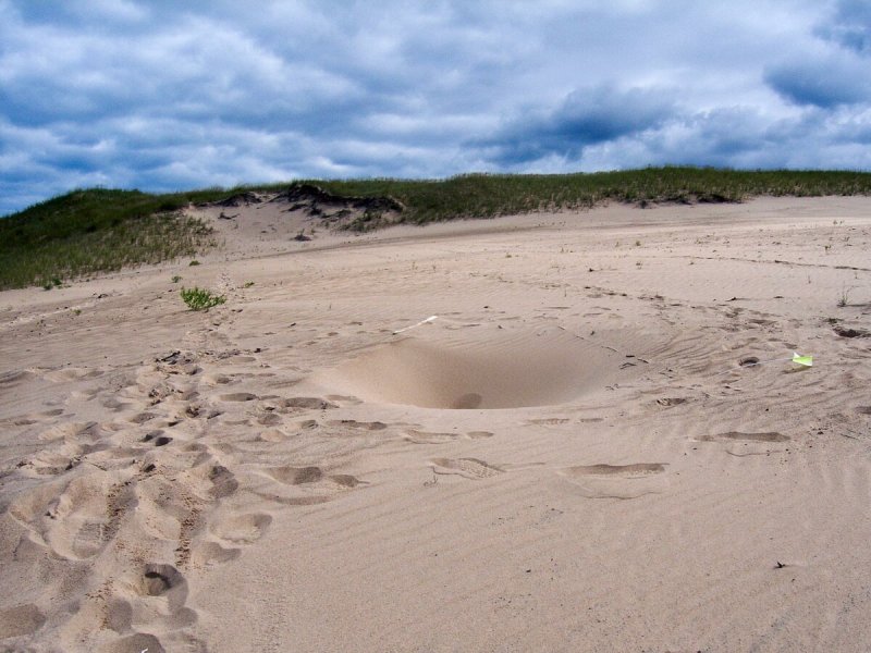 Зыбучие Пески озеро Мичиган