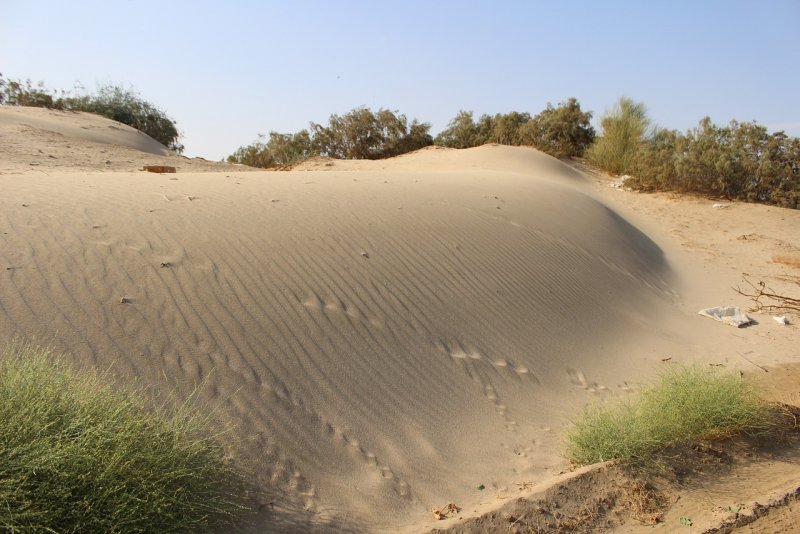 Зыбучие Пески в Астраханской области