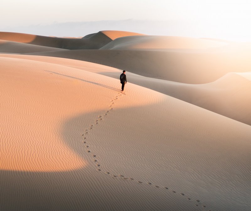 Странник в пустыне