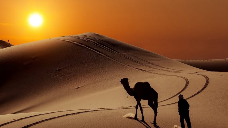 Путник в пустыне