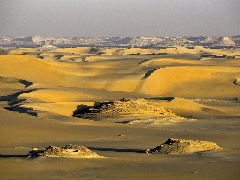 Оазис Сива пустыня