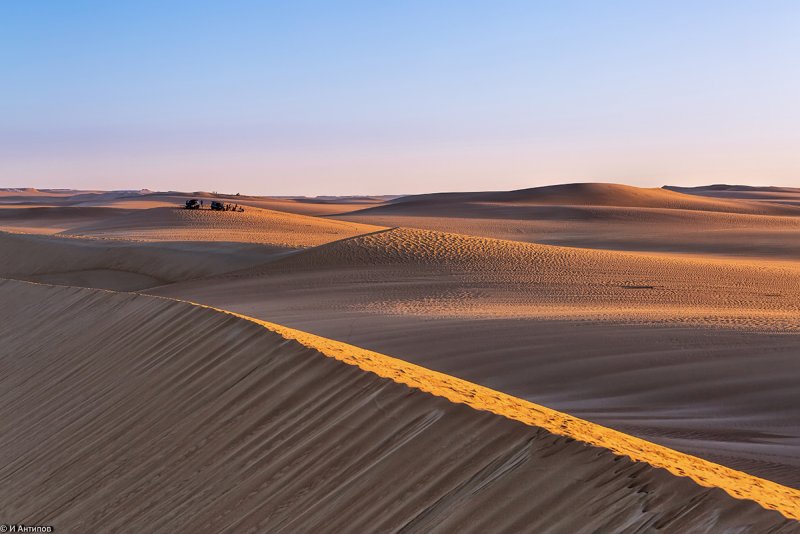 Пустыня на закате Оазис
