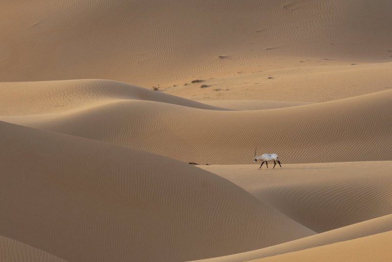 Природа Египет пустыня