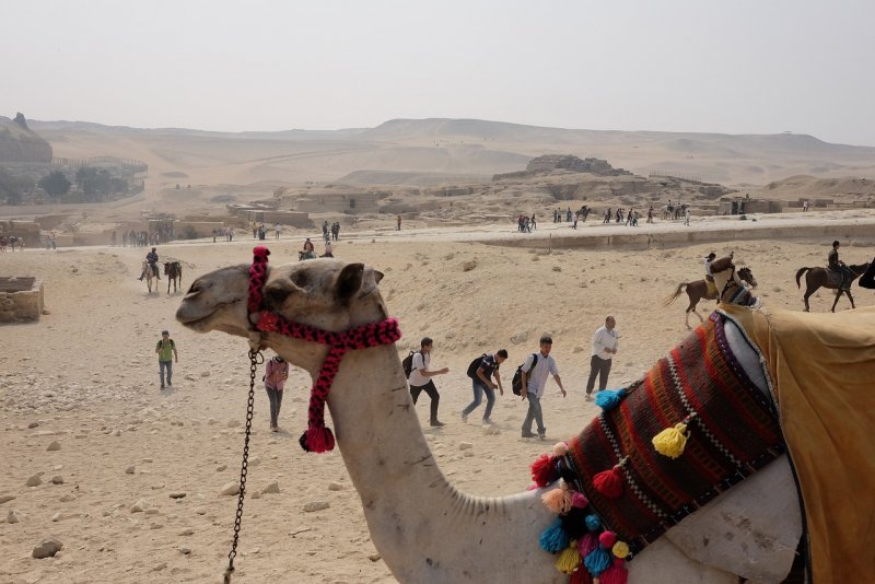 Долина верблюдов в Египте