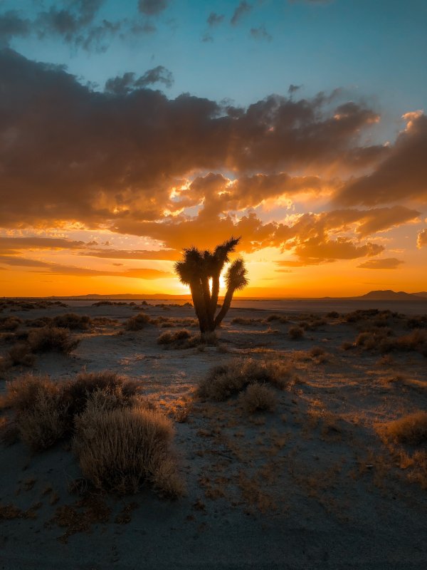 Рассвет в пустыне