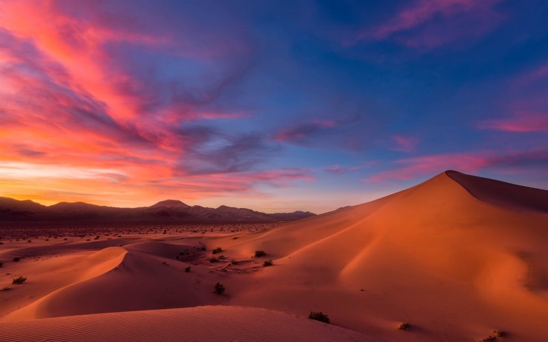 Пустыня на закате Оазис