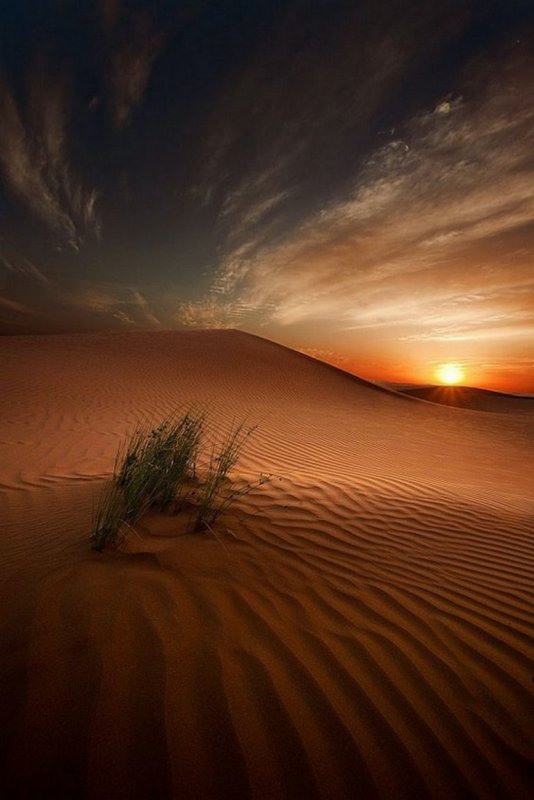 Пустыня Намиб закат