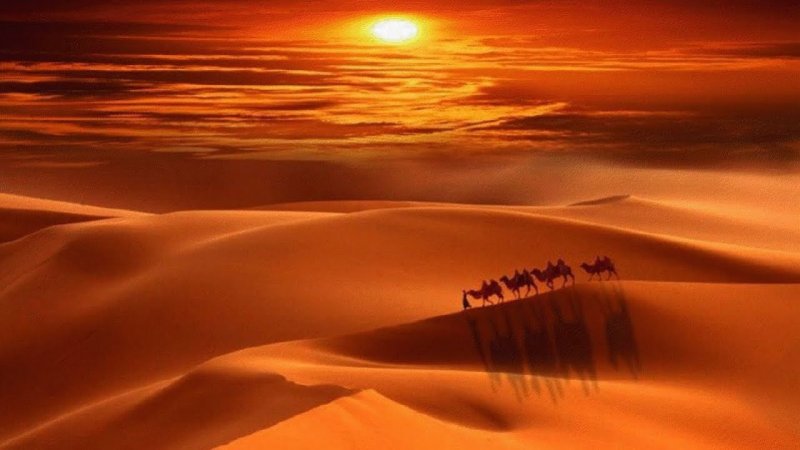 Солнце над пустыней