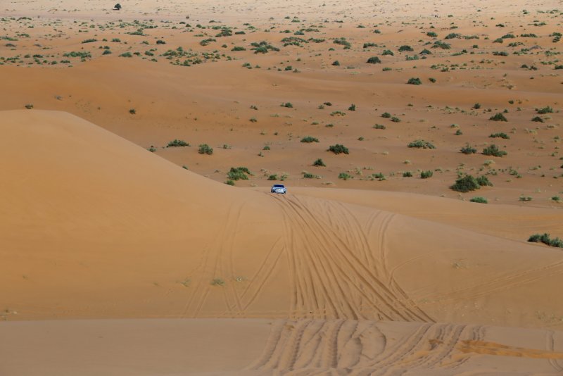 Пустыня Караван Оазис