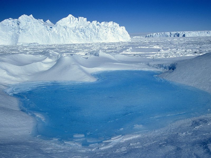 Зона арктических пустынь Ледяная зона