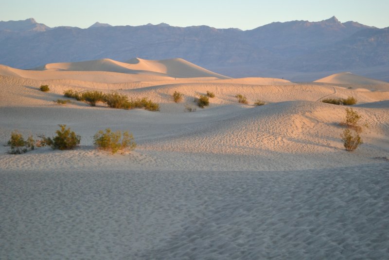 Дюна песок перекати поле