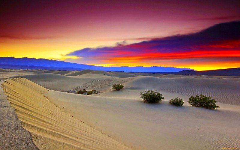 Красота пустыни