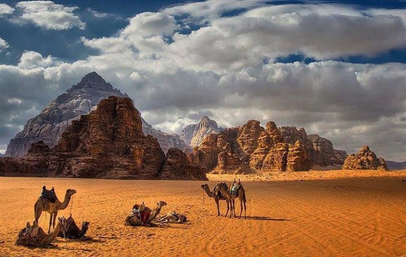 Сафари пустыня горы