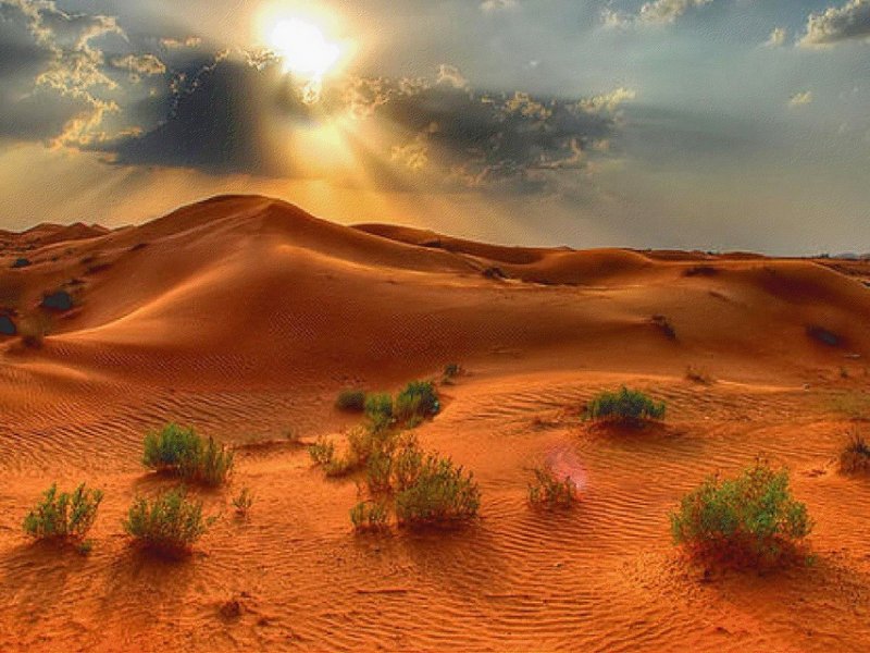 Пустыня пейзаж