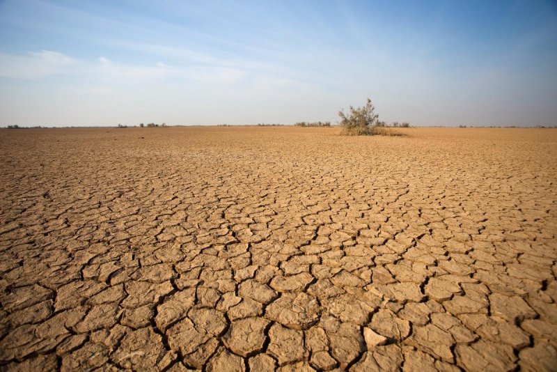 Пустыня засуха