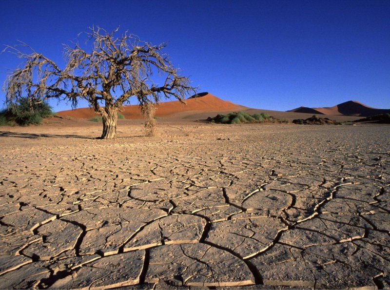Почва пустыни Намиб