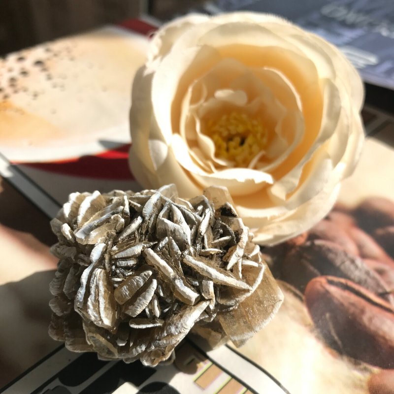 Песочная роза цветок