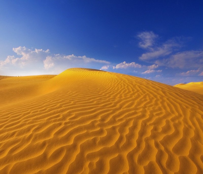 Желтая пустыня