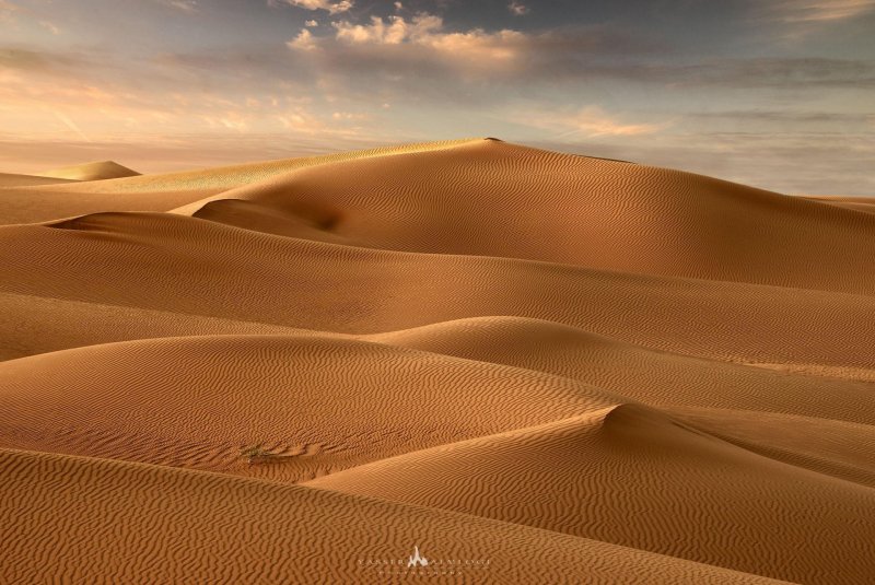 Песчаная пустыня с барханами