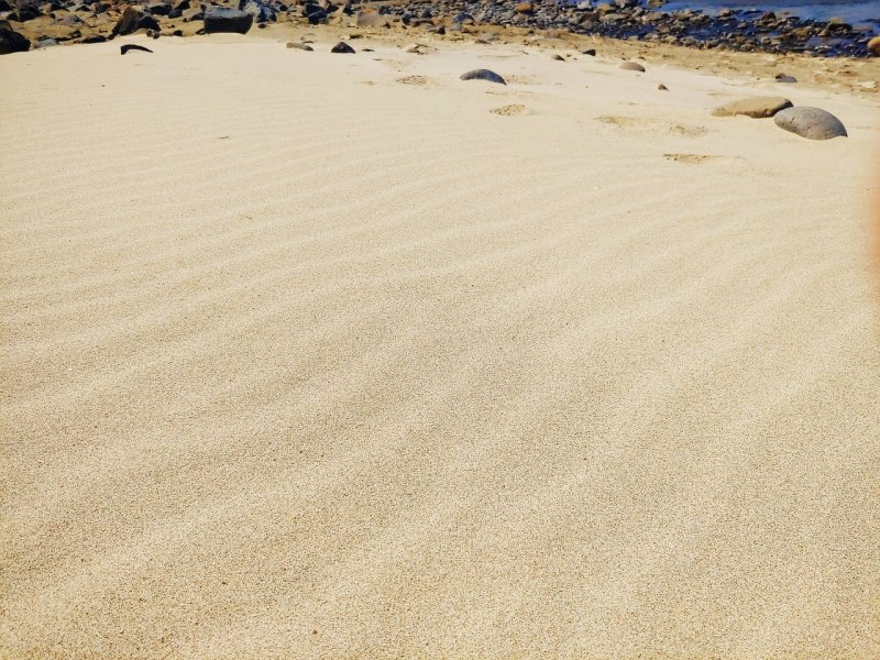 Сахара желтое море песка