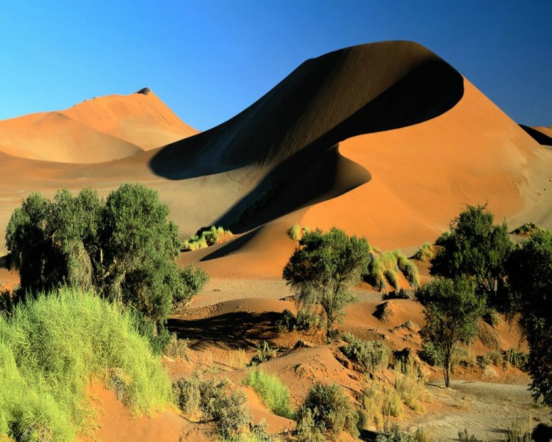 Песчаные дюны и Барханы