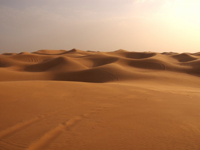 Песчаные пустыни Юго Западной Азии