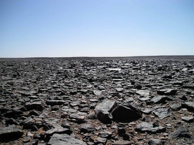 Каменистые пустыни в сахаре